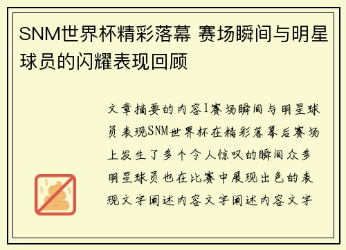 SNM世界杯精彩落幕 赛场瞬间与明星球员的闪耀表现回顾